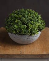 Hoxton Hebe Small Globe Greenery Plant Pot