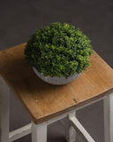 Hoxton Hebe Small Globe Greenery Plant Pot